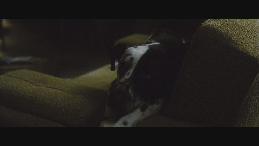 爱游戏体育-蒂姆官方宣布比赛局势复杂新规，西班牙队引发争议！比赛高潮迭起的简单介绍